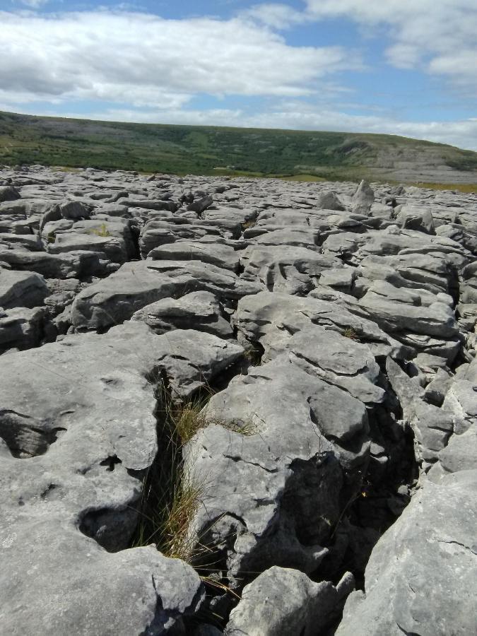 Burren Rock Farmhouse B&B Turlough  Eksteriør bilde