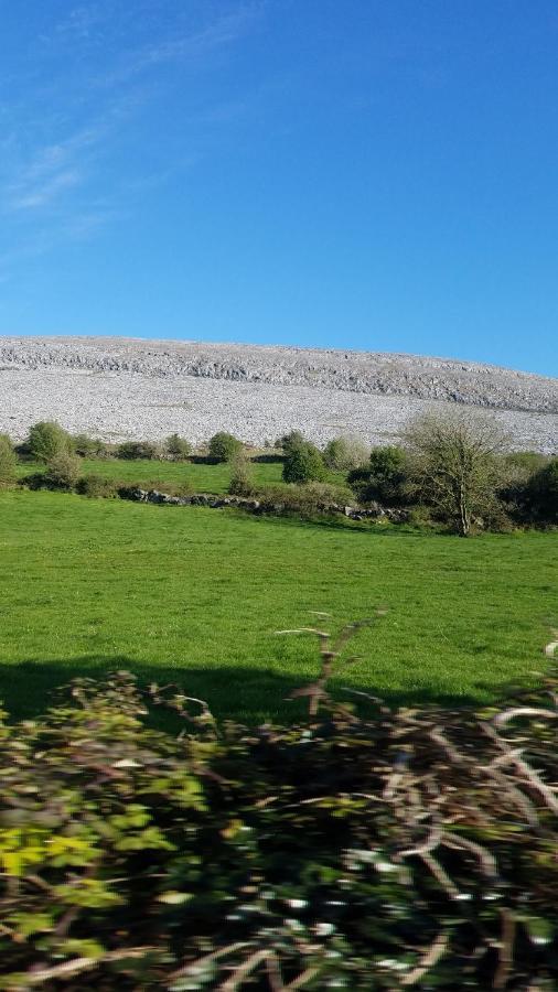 Burren Rock Farmhouse B&B Turlough  Eksteriør bilde
