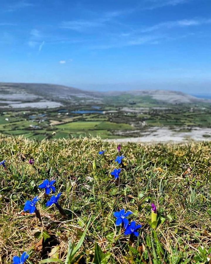 Burren Rock Farmhouse B&B Turlough  Eksteriør bilde